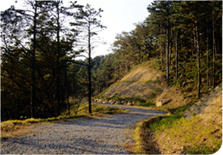 ÀÓµµ»ç¾÷ÁßÀÎ ½£¼Ó µµ·Î