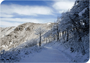 ´«À¸·Î µÚµ¤Èù »êÃ¥·Î