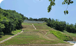 �������(�ð���)