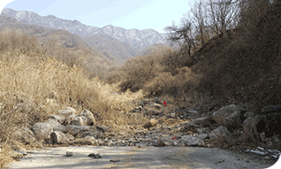 ����(�ð���)