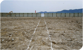 �ؾȹ��縲������� �ð��� Ȳ���� �ؾ��� ���