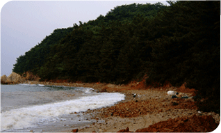 �ؾ�ħ�Ĺ������ �ð��� ħ�ĵǰ� �ִ� �ؾ��� ���