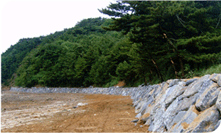 �ؾ�ħ�Ĺ������ �ð��� ������ �ؾ��� ���