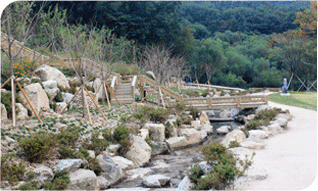 �޾縲 �� ������ ��å��