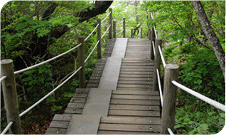 �긲������ ��å��