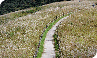 ���뽣 ���� ����